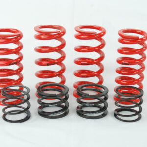 Eibach ERS Spring kit for Audi B5 chassis w/ Raceline dampers