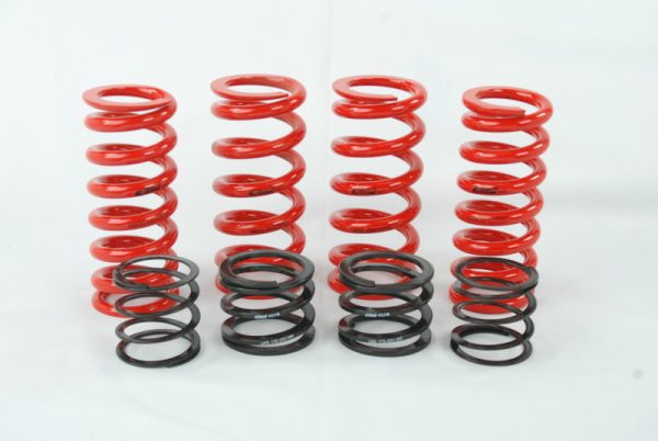 Eibach ERS Spring kit for Audi B5 chassis w/ Raceline dampers