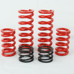 Eibach ERS Spring kit for Audi B6/7 chassis w/ Raceline dampers
