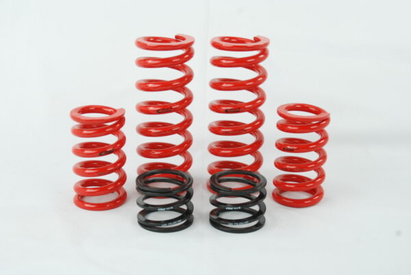 Eibach ERS Spring kit for Audi B6/7 chassis w/ Raceline dampers