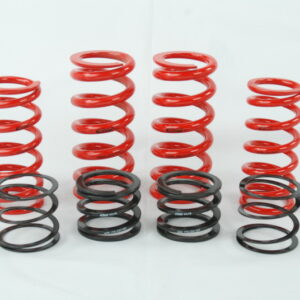 Eibach ERS Spring kit for Audi B8 chassis w/ Raceline dampers