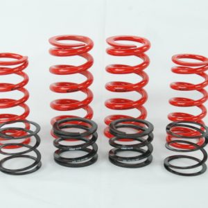 Eibach ERS Spring kit for Audi B8 chassis w/ Raceline dampers