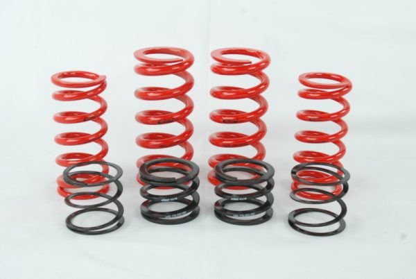 Eibach ERS Spring kit for Audi B8 chassis w/ Raceline dampers