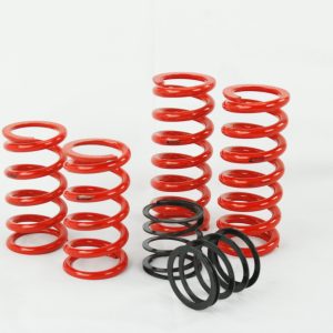 Eibach ERS Spring kit for Audi R8 w/ Raceline dampers