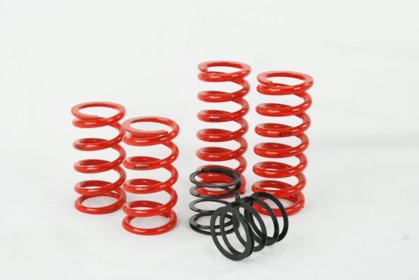 Eibach ERS Spring kit for Audi R8 w/ Raceline dampers