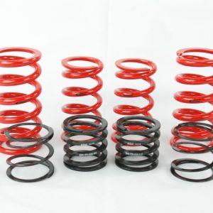 Eibach ERS Spring kit for Audi TTRS w/ Raceline dampers