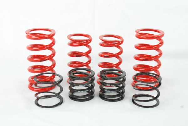 Eibach ERS Spring kit for Audi TTRS w/ Raceline dampers